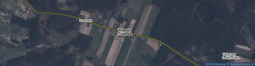 Zdjęcie satelitarne Wygoda Tokarska ul.